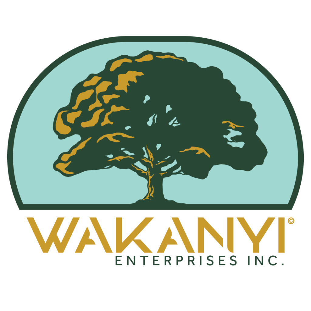 Episode Example Buzzsprout Wakanyi Enterprises